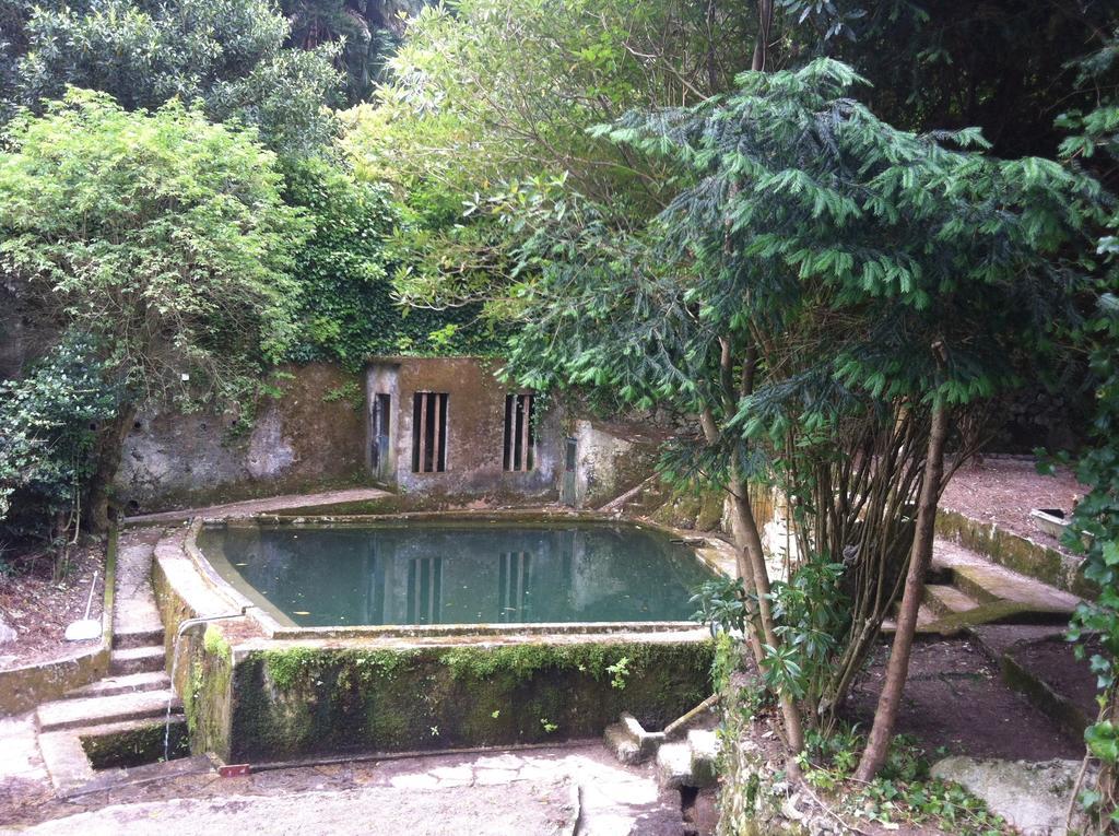Quinta Do Castanheiro Hotel Sintra Exterior foto